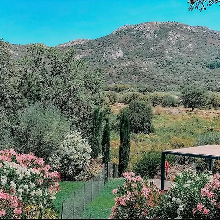 Casa Giabiconi - 6pers. Piscine & * Occhiatana